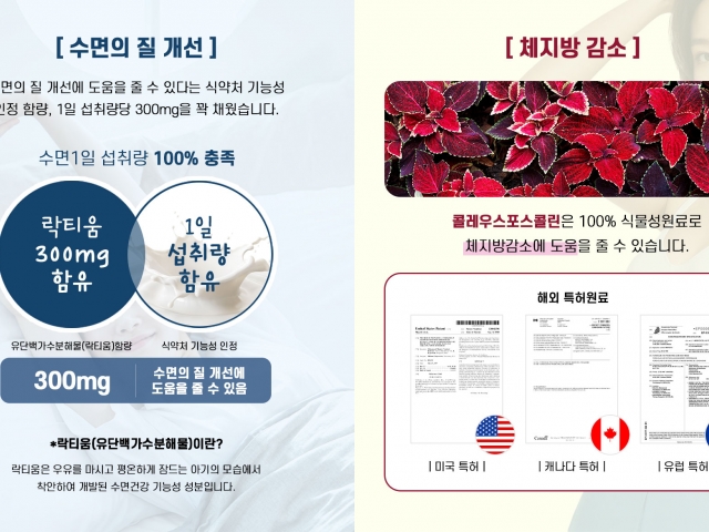 연예인 다이어트